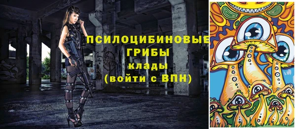 прущая мука Рославль