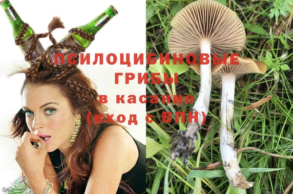 spice Протвино